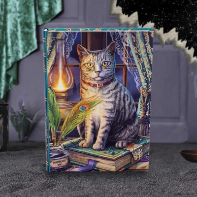 Book of Shadows Journal (LP) 17cm