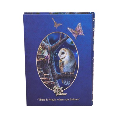 Fairy Tales Journal (LP) 17cm