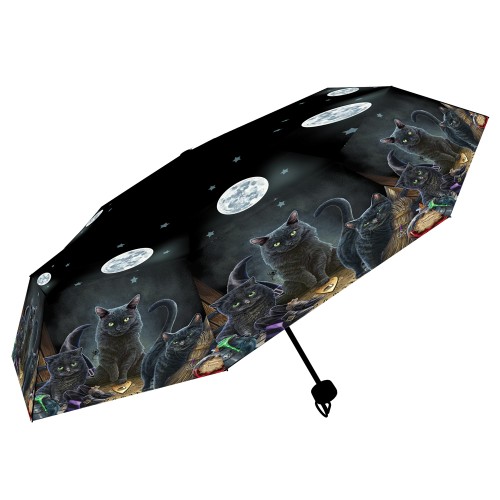 Familiars Umbrella (LP)